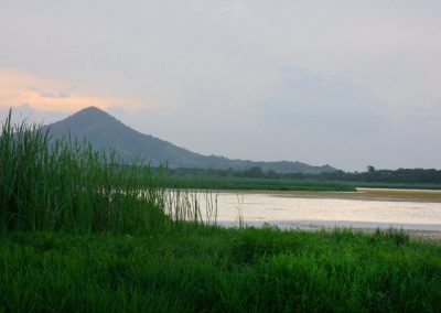 Trip to the Rice Mountain